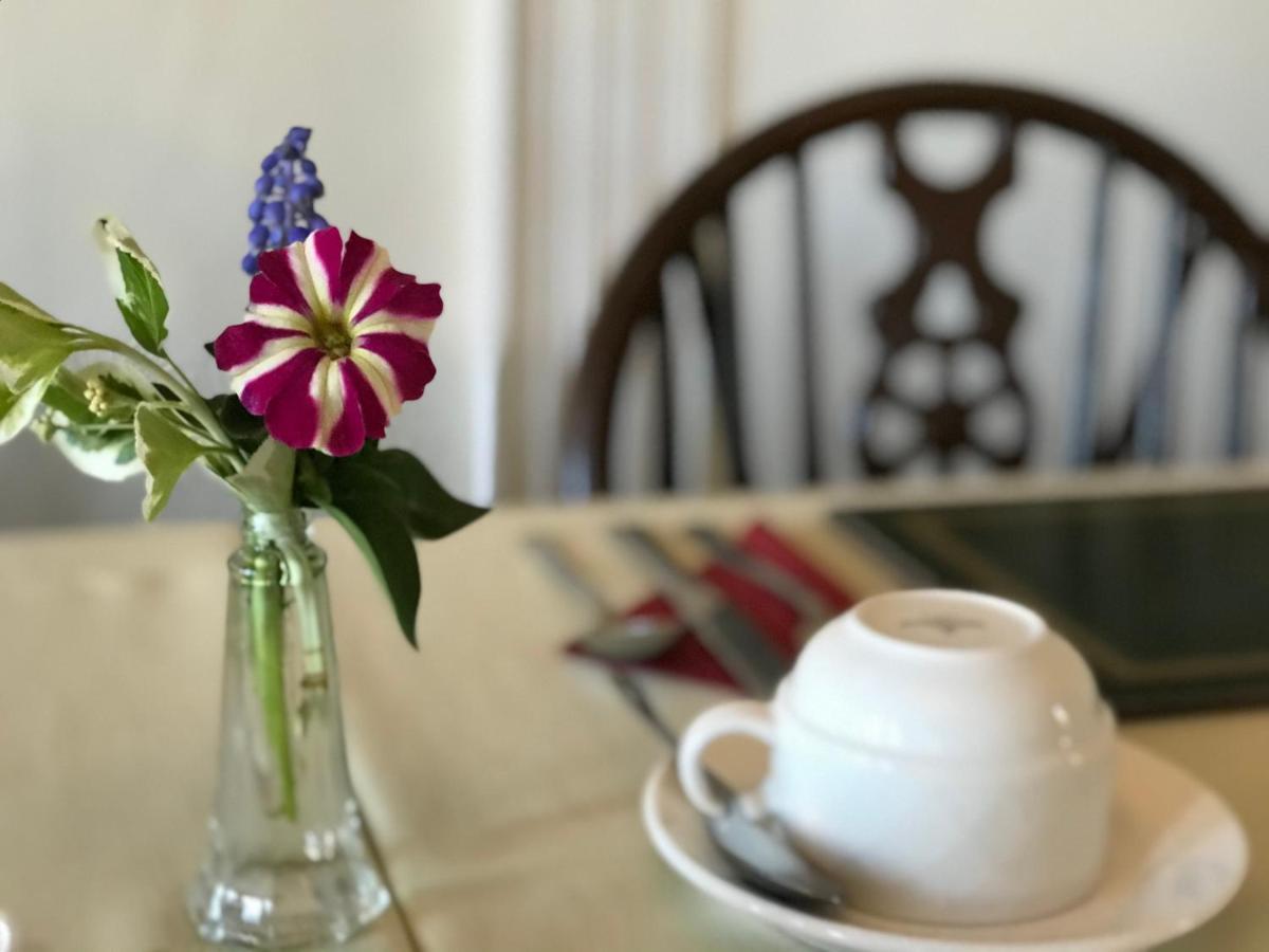 Princetown Guesthouse Бангор Екстер'єр фото